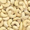 Wholesale Supplier Cashew Nuts